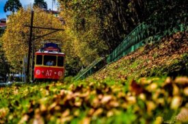 Campos do Jordão, um dos grandes pontos turísticos de SP