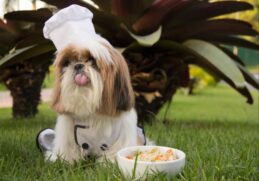 Inicialmente focada nos cães, a nova linha, desenvolvida em parceria com o Chef Bob, oferece cinco opções de cardápio