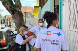 Embu das Artes tem casos de dengue
