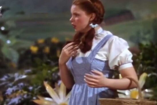 Estampada de xadrez azul, a roupa aparece na cena em que Dorothy é ameaçada pela Bruxa Malvada do Oeste