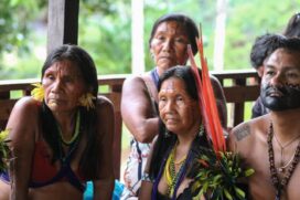 Tribo Yanomami