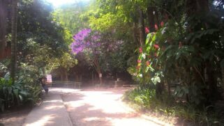 Parque Santo Dias, no Capão Redondo