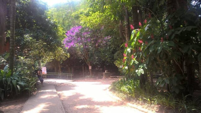 Parque Santo Dias, no Capão Redondo