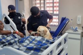 GCMs de Santos acompanharam a corporação paulista em ação no Hospital do Servidor Público Municipal de São Paulo