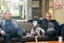 Cadelinha de 'Chicago Fire' morre dias antes do fim da série.