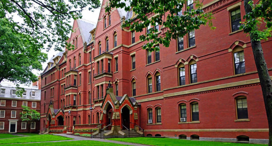Estudo foi publicado pelo Journal of Climate Change and Health e pelo The Harvard Gazette no dia 5 de abrir