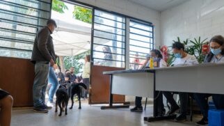 6&ordm; Castra Pets, mutirão para castração de cães e gatos em Taboão da Serra