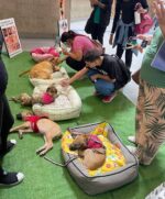 Feira de adoção da ONG Cão Sem Dono nas estações no Metrô de SP