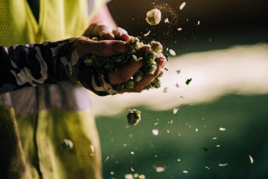 Hop Growers of America estará na edição 2022 da Brasil Brau