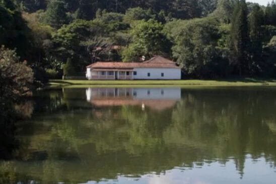 O documento deixa claro que, nas cinco áreas, a atividade econômica a ser explorada será a extração de madeira, especialmente eucalipto e pinus