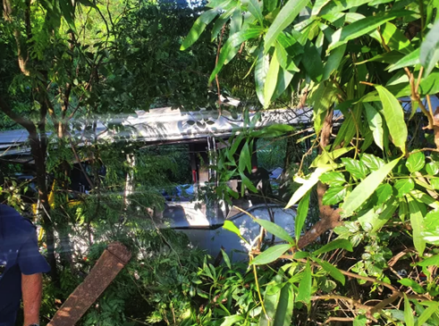 Ônibus saiu da pista e parou em uma região de mata