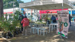 Secretaria de Habitação e Meio Ambiente distribuí mudas para munícipes durante o Junho Verde