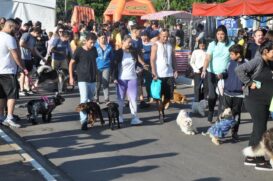 Moradores de Porto Feliz participam de evento na Semana do Meio Ambiente