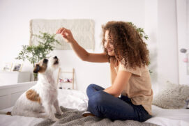 Tutores encontram dificuldades na hora de brincar com os pets em locais pequenos