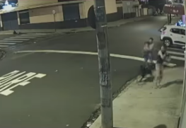 Cão pula de veículo em movimento e ataca mulher que estava passeando com a família; vídeo