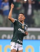 Palmeiras goleia o Botafogo e assume a liderança do Brasileirão