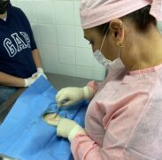 Centro de Controle de Zoonoses recebe médica veterinária para ensinar nova técnica de castração