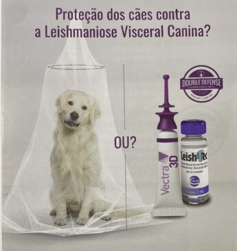 Leishmaniose Visceral Canina pode levar ao óbito.