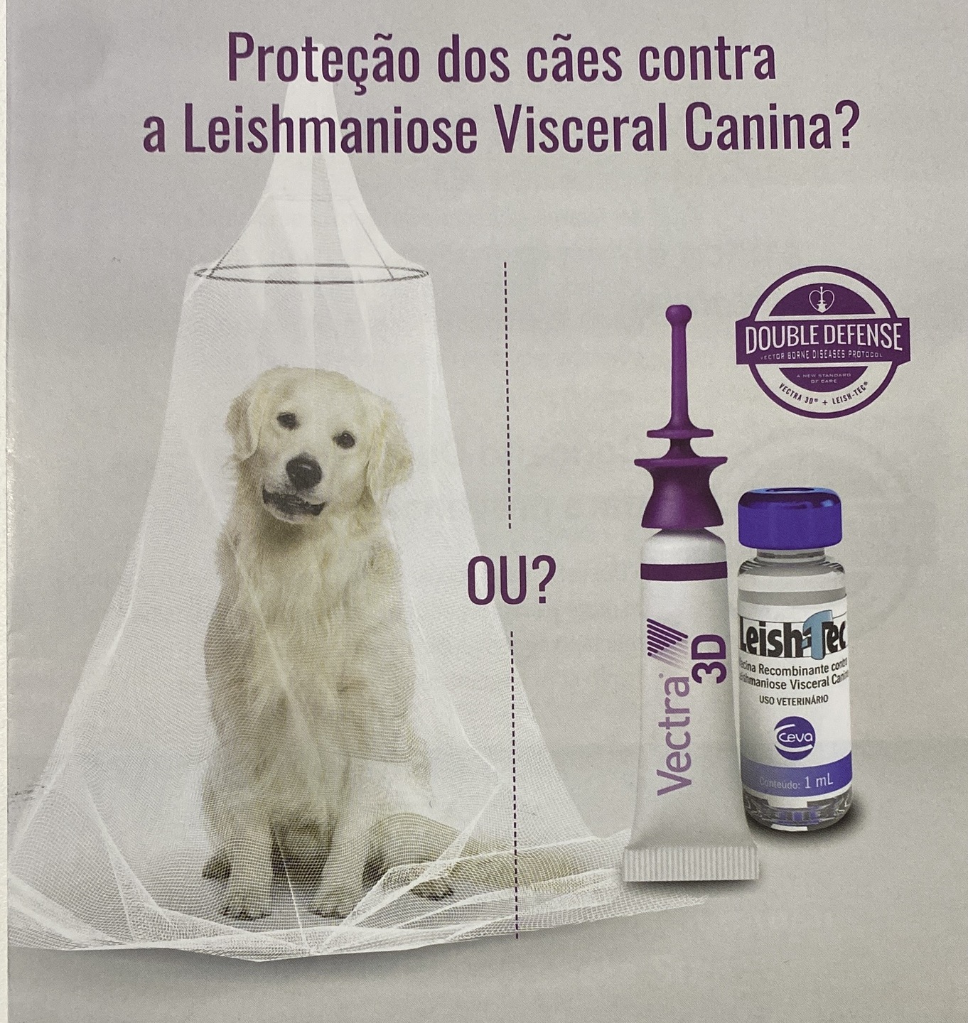Leishmaniose Visceral Canina pode levar ao óbito.