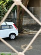 Árvore sob risco de queda na Vila Mariana
