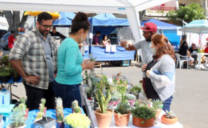 A Feira Criativa do Jardim Campestre ocorreu no último sábado (13); evento reuniu diversas atividades e moradores da região