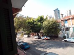 Árvores sem poda causam incômodo em moradores de rua na Vila Mariana.