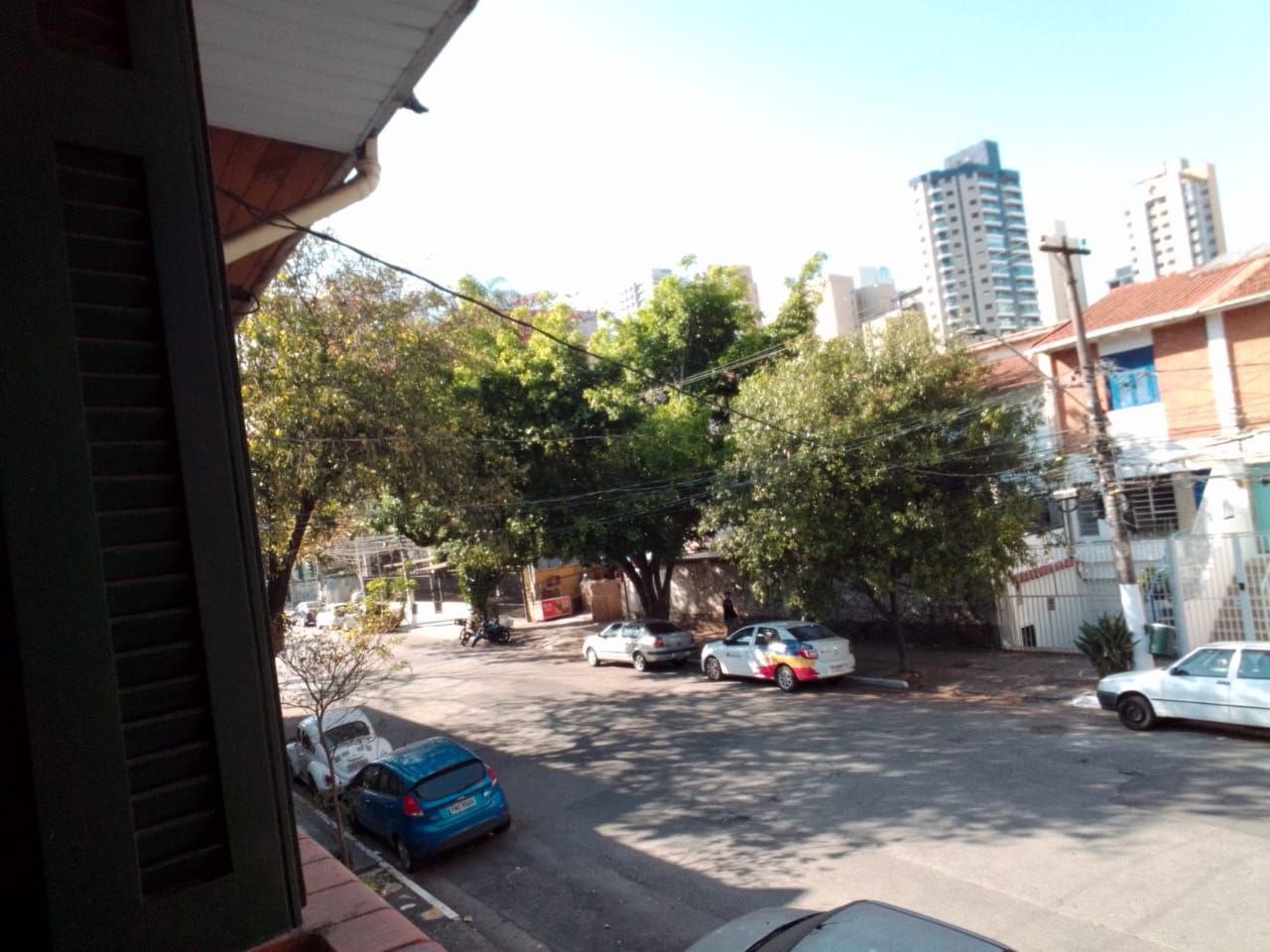 Árvores sem poda causam incômodo em moradores de rua na Vila Mariana.