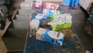 Os policiais encontraram algumas aves dentro de caixas de leite e outras em gaiolas com número superior ao suportado