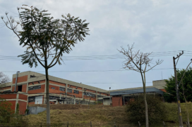 O terreno da antiga Niasi é um dos mais valorizados de Taboão da Serra, possui cerca de 47 mil metros quadrados e 17 mil metros quadrados de área construída.