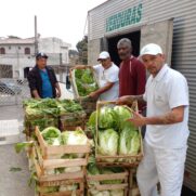 O projeto traz aos pequenos produtores um instrumento de apoio para acesso ao mercado, que neste momento está retraído por conta da pandemia