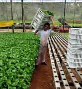 Doação de hortaliças para o Banco de Alimentos.