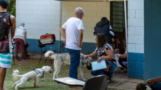 Mutirão Castra Pets em Taboão da Serra.