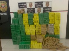 Tabletes de maconha apreendidos em Taboão da Serra
