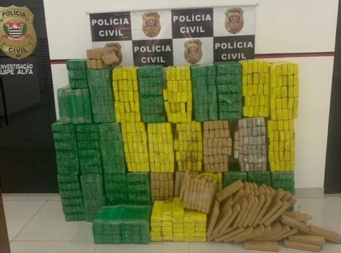 Tabletes de maconha apreendidos em Taboão da Serra