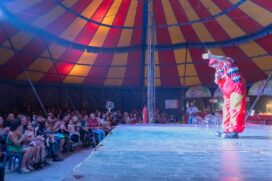 Di Cherry Circus ficará em cartaz em Taboão da Serra até 21/11