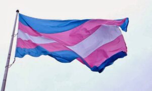 Bandeira trans