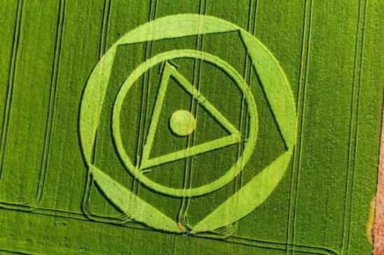 Imagem foi vista nesta terça-feira e surpreendeu dono de propriedade rural em SC