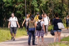 O Sisu 2024 teve única etapa de inscrição para todo ano e ofertou 264.181 vagas, em 6.827 cursos de graduação de 127 instituições públicas de ensino superior de todo o Brasil