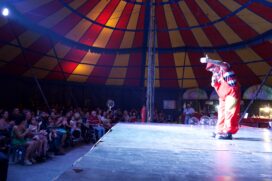 Secretaria de Cultura e Turismo de Taboão da Serra traz circo com apresentações gratuitas para o Parque das Hortênsias a partir das 12/10