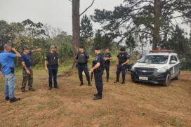 Um dos locais informados pela polícia fica no bairro do Pinheirinho, em Embu das Artes, lá foram localizadas três covas