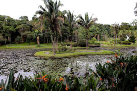 Atualmente, o Jardim Botânico possui cerca de 360 mil m², abrigando mais de 380 espécies diferentes de árvores e animais