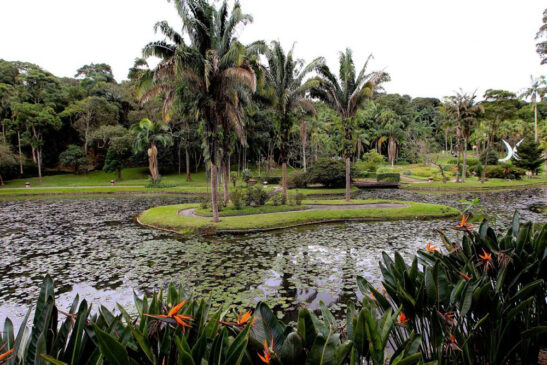 Atualmente, o Jardim Botânico possui cerca de 360 mil m², abrigando mais de 380 espécies diferentes de árvores e animais