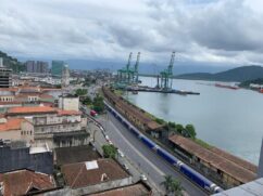 Nesta terceira edição da Operação Reliqua, representantes do Ibama de outros portos brasileiros participarão das atividades