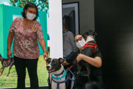 A tecnologia ajuda na identificação dos animais (arquivo)