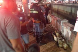 Mobilização do Corpo de Bombeiros para 'resgatar' um manequim que foi confundido por moradores com o corpo de uma pessoa em Ribeirão Preto (SP)