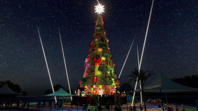 A árvore de Natal ficará no parque vizinho ao local onde estará montada da roda-gigante de SP
