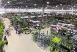 Apesar da expectativa de um crescimento nas vendas das principais flores, a Ceagesp não prevê alcançar o patamar pré-pandemia em um futuro breve