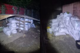 Drogas foram apreendidas e levadas pelas autoridades durante operação