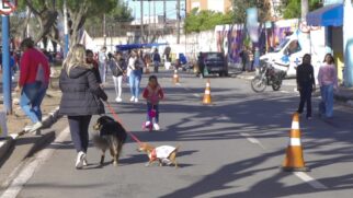 Shows musicais acontecerão a partir das 14h no Rua Viva de 10/12 em Taboão da Serra.
