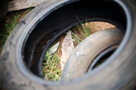 Temporada de chuvas ocasionadas pelo verão pode ocasionar a incidência de dengue e moradores devem redobrar os cuidados